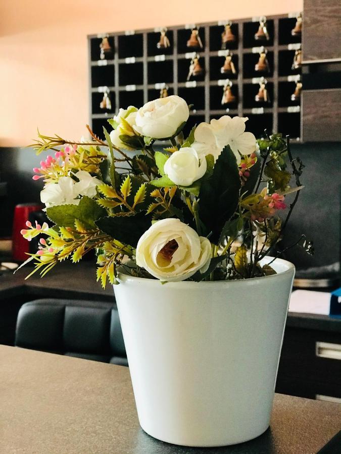 Hotel Bila Ruze ستراكونيتسه المظهر الخارجي الصورة